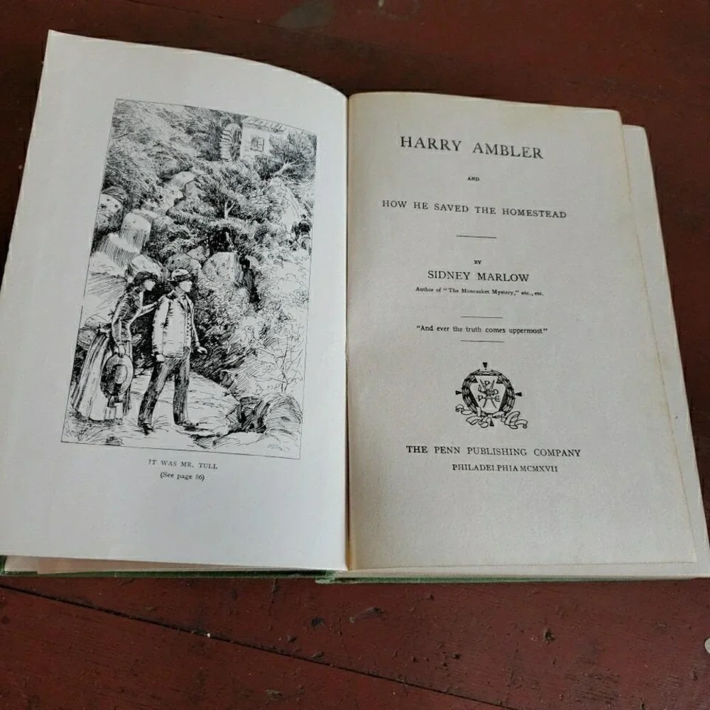 HARRY AMBLER by Sidney‎ Marlow (1917 Antique Hardcover Book)